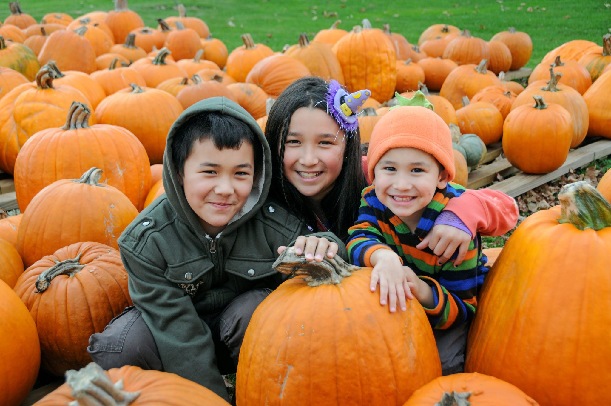 Fall Foliage, Festivals and Farms Visit Medina County