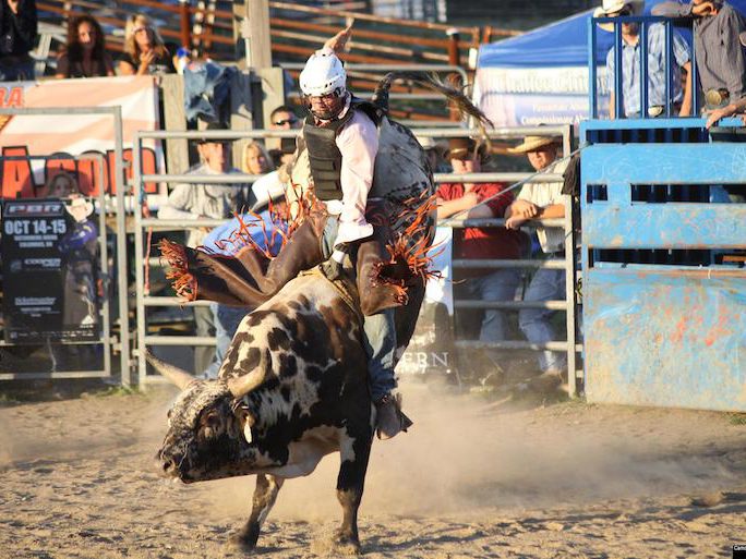 Buckin' Ohio presents Pro Bull Riding