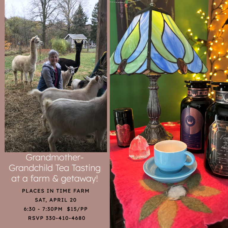 Grandmother - Grandchild Tea Tasting - Visit Medina County